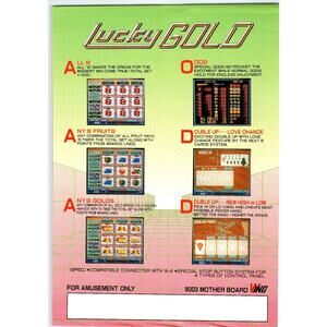 Lucky Gold 1991 Vintage Arcade Game Flyer Amusement Machine Ephemera